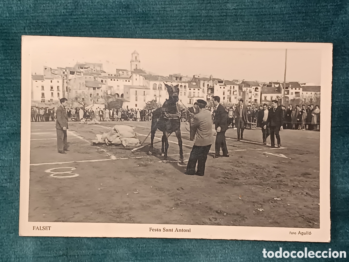Postales: FALSET. Festa Sant Antoni