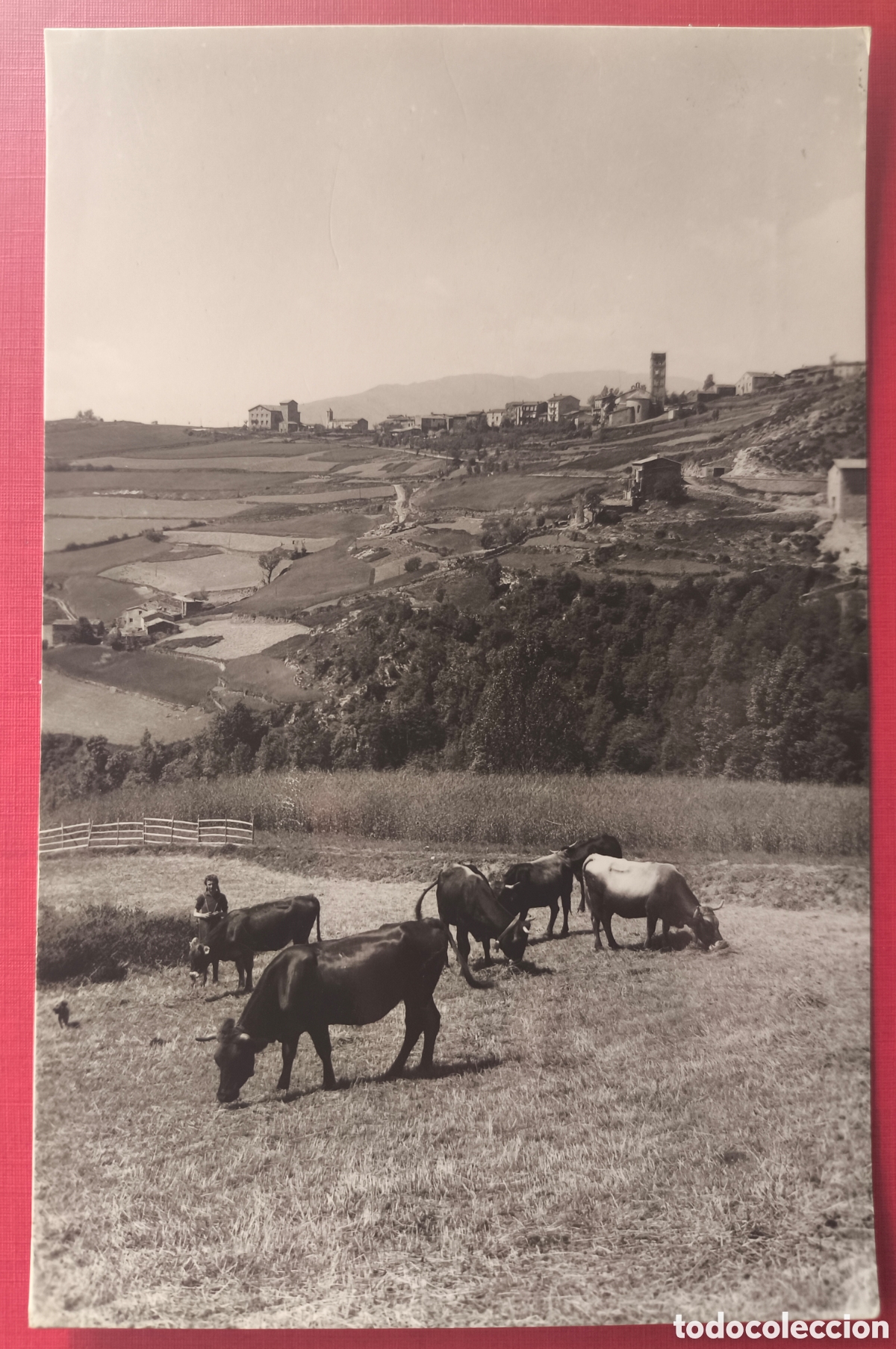 Postales: MOLL&Oacute; VISTA PANOR&Aacute;MICA POSTAL FOTOGR&Aacute;FICA FOTOGRAF&Iacute;A PLANESAS GIRONA C. 1955