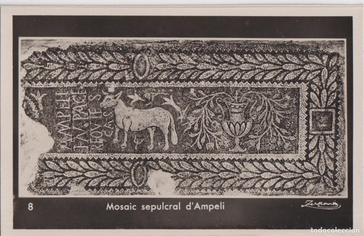 Postales: TARRAGONA, NECROPOLI CRISTIANO-ROMANA, MOSAICO SEPULCRAL DEL AMPELIO &ndash; A.ZERKOWITZ 8 &ndash; S/C