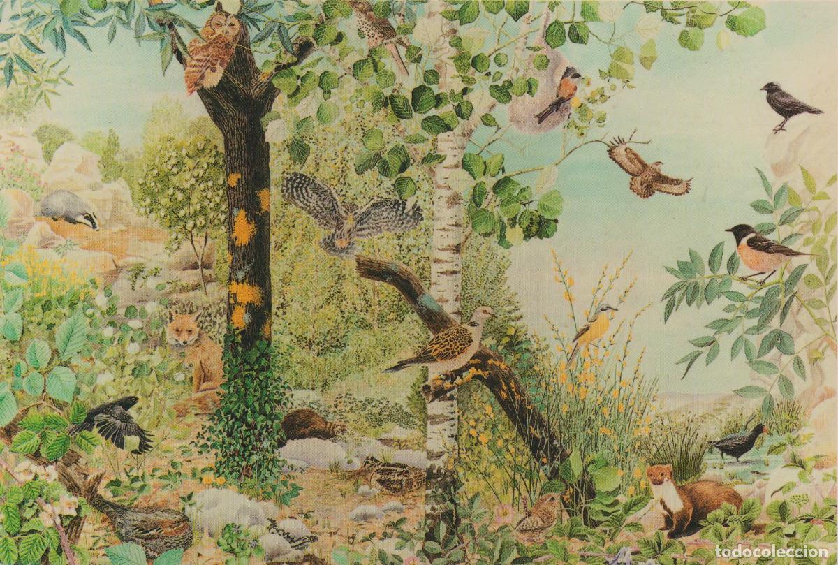 Postales: ESPLUGA DE FRANCOL&Iacute; (TARRAGONA) FAUNA DEL BARRANCS ( DIBUIX MARISA BENDALA) &ndash; FUNDACI&Oacute; JAUME I &ndash; S/C