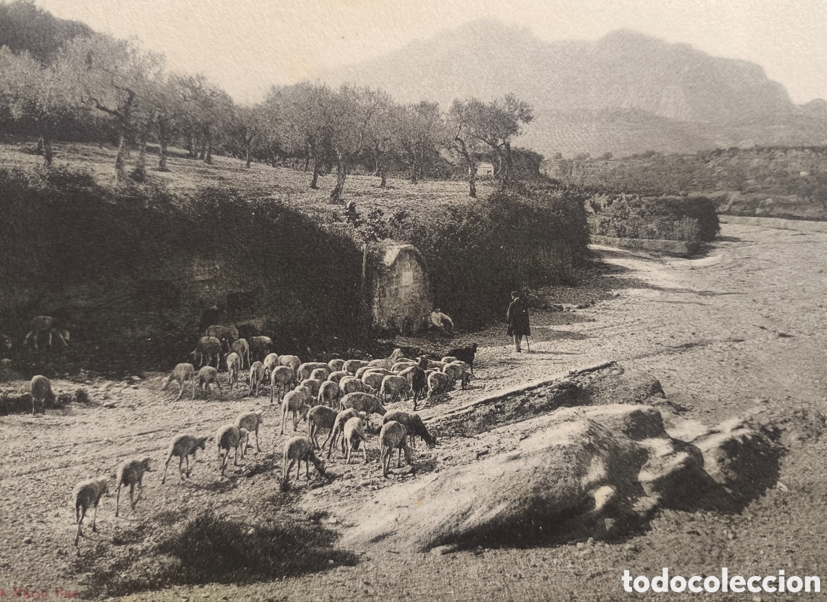 Postales: ESPARREGUERA FONT DEL TORRENT POSTAL ANIMADA FOTOTIPIA C. 1915