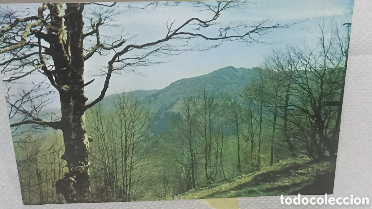 Postales: Paisaje de Santa Fe de Montseny