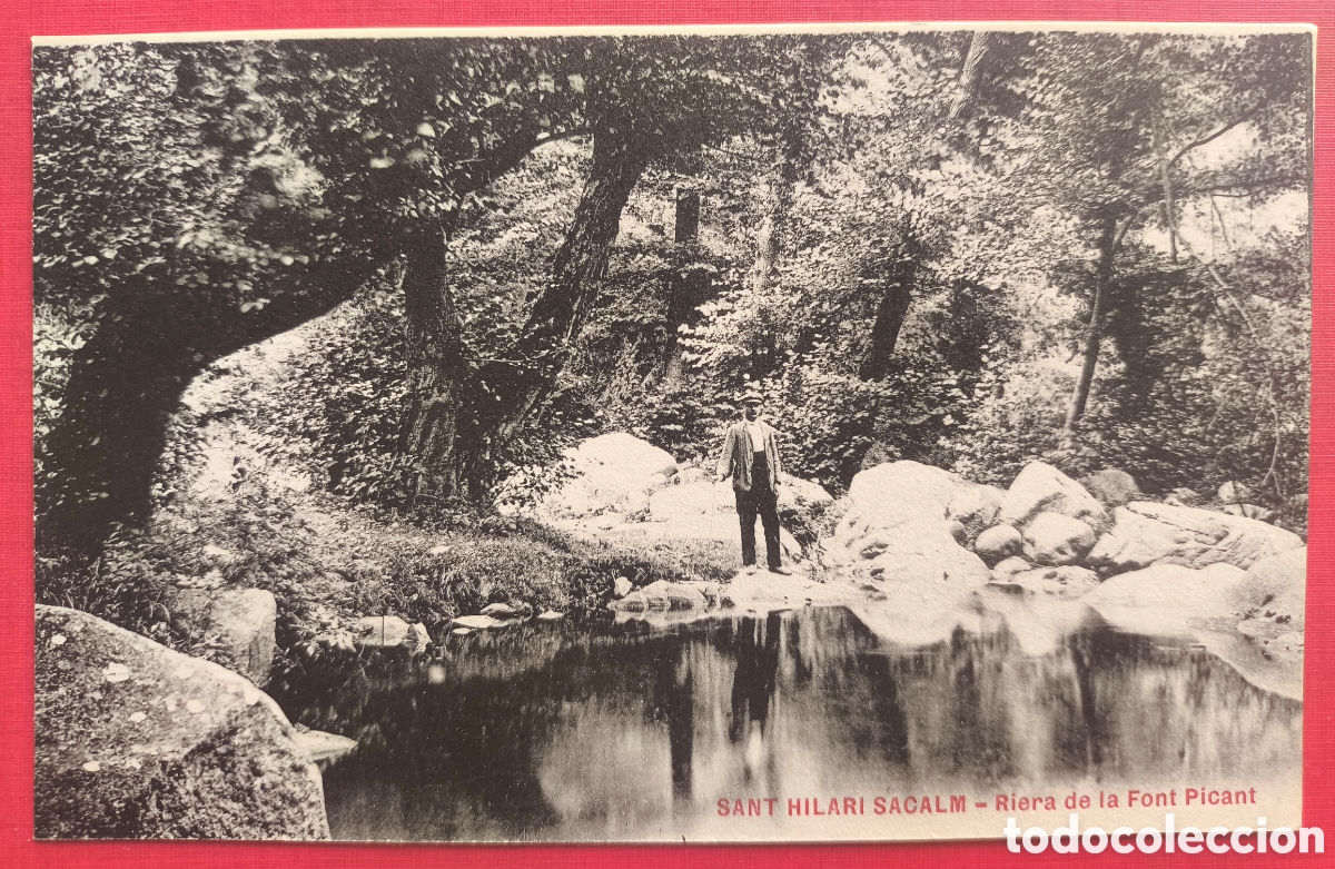 Postales: SANT HILARI SACALM RIERA DE LA FONT PICANT POSTAL FOTOTIPIA C. 1910