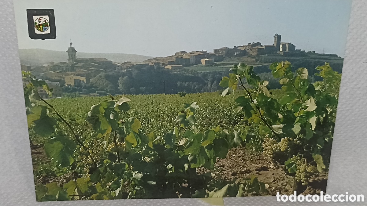 Postales: Artes Barcelona tierra de buen vino