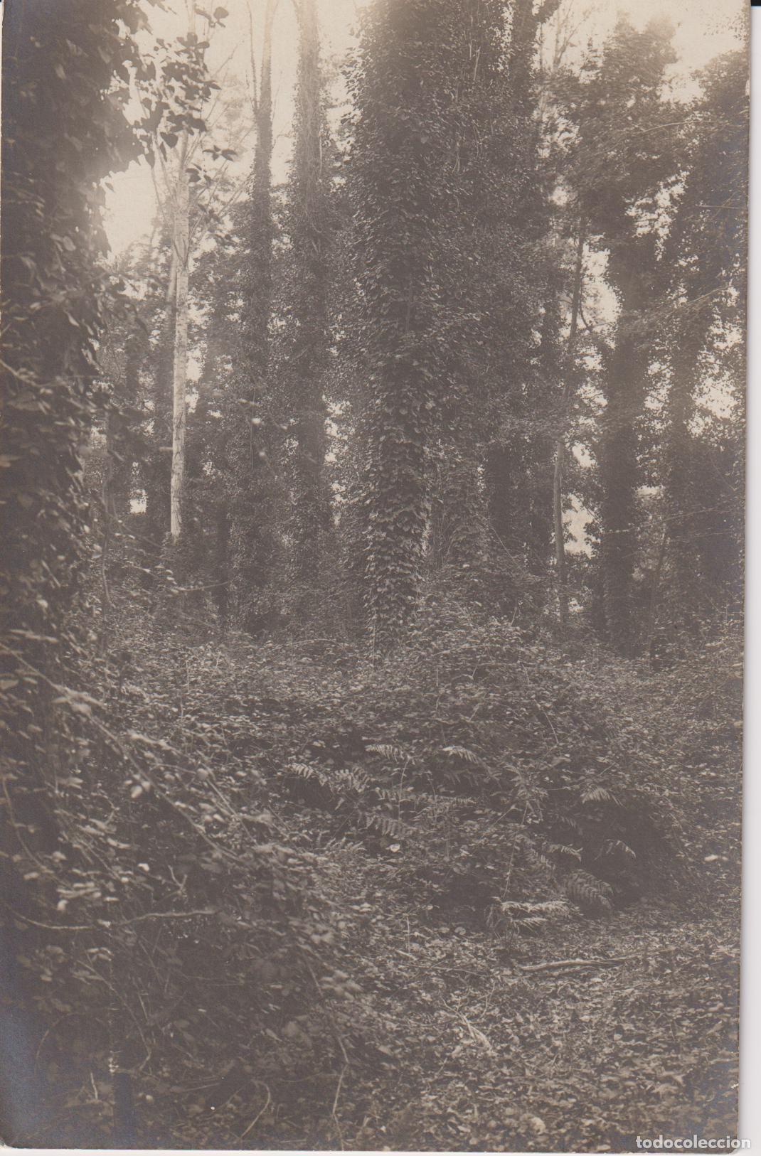 Postales: HOSTALRIC (GIRONA) EL BOSC - TARJETA POSTAL - ESCRITA 1913