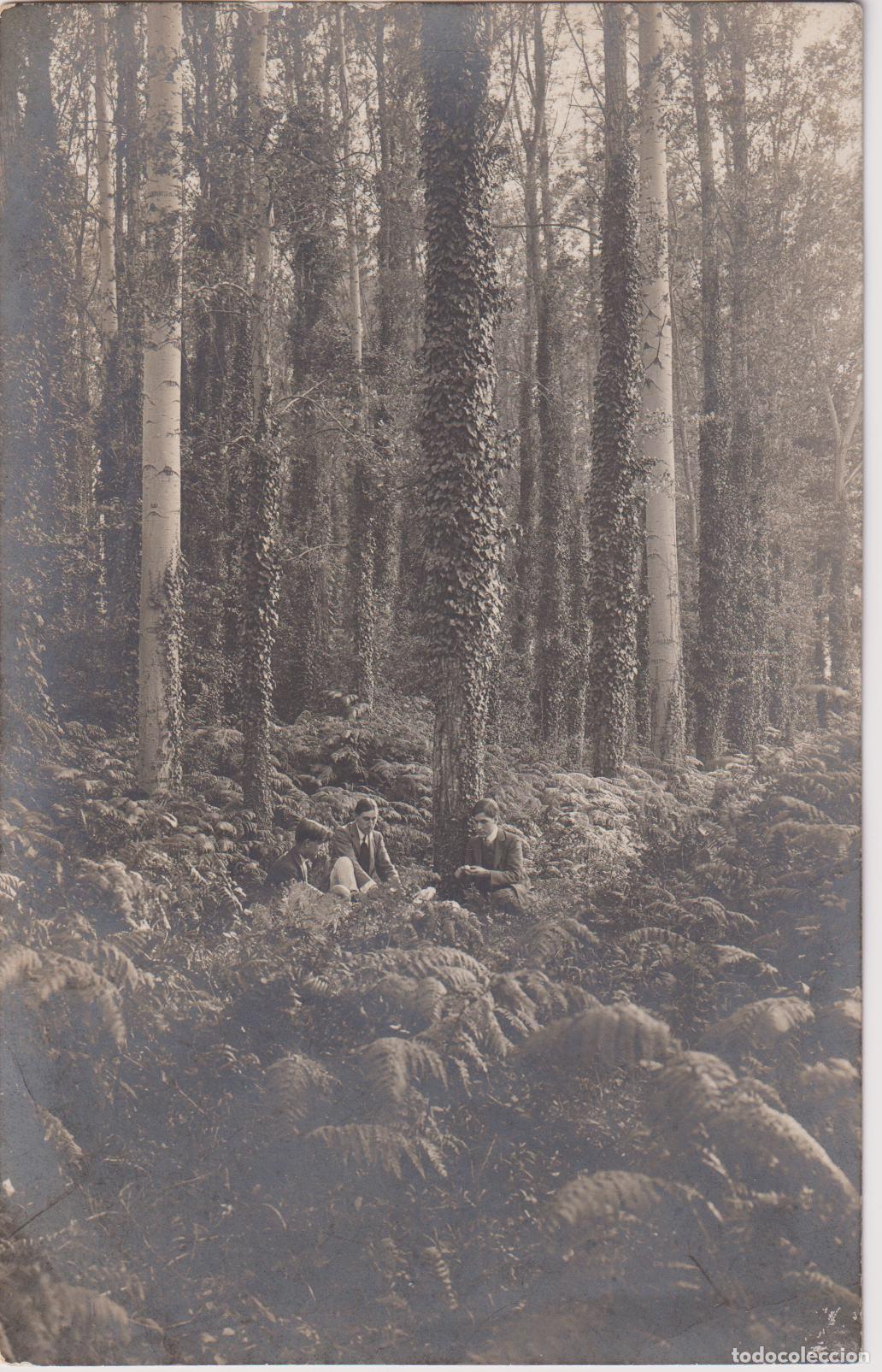 Postales: HOSTALRIC (GIRONA) EL BOSC - TARJETA POSTAL - ESCRITA 1911
