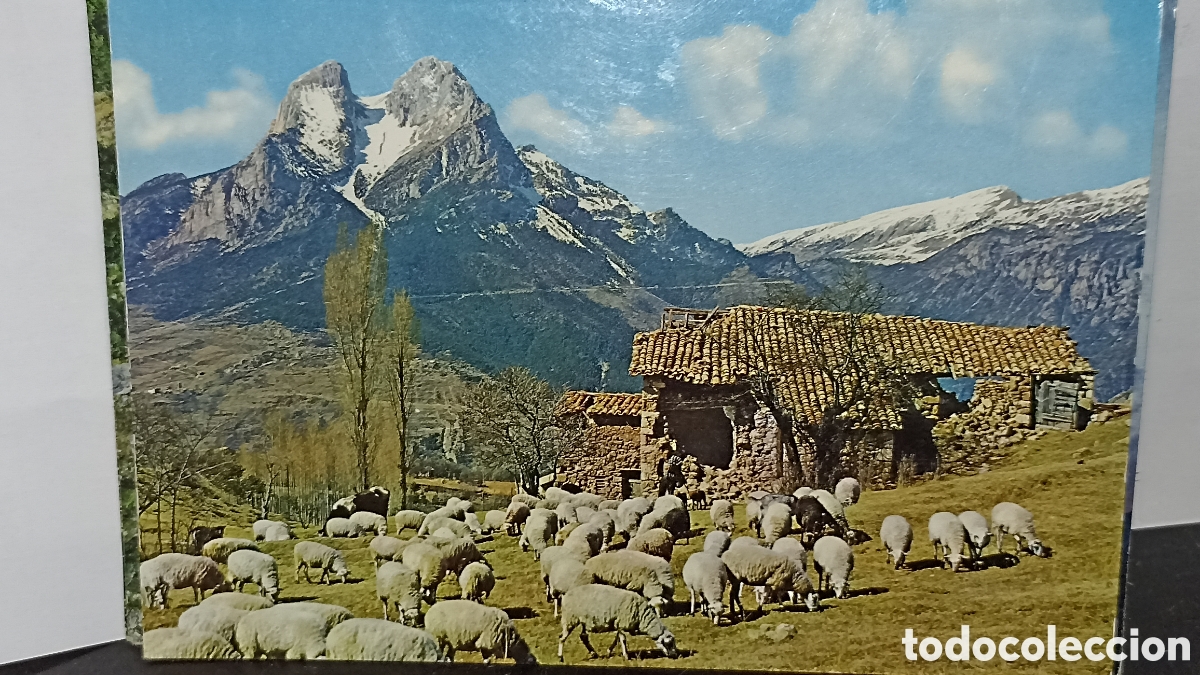 Postales: Saldes Barcelona pedraforca