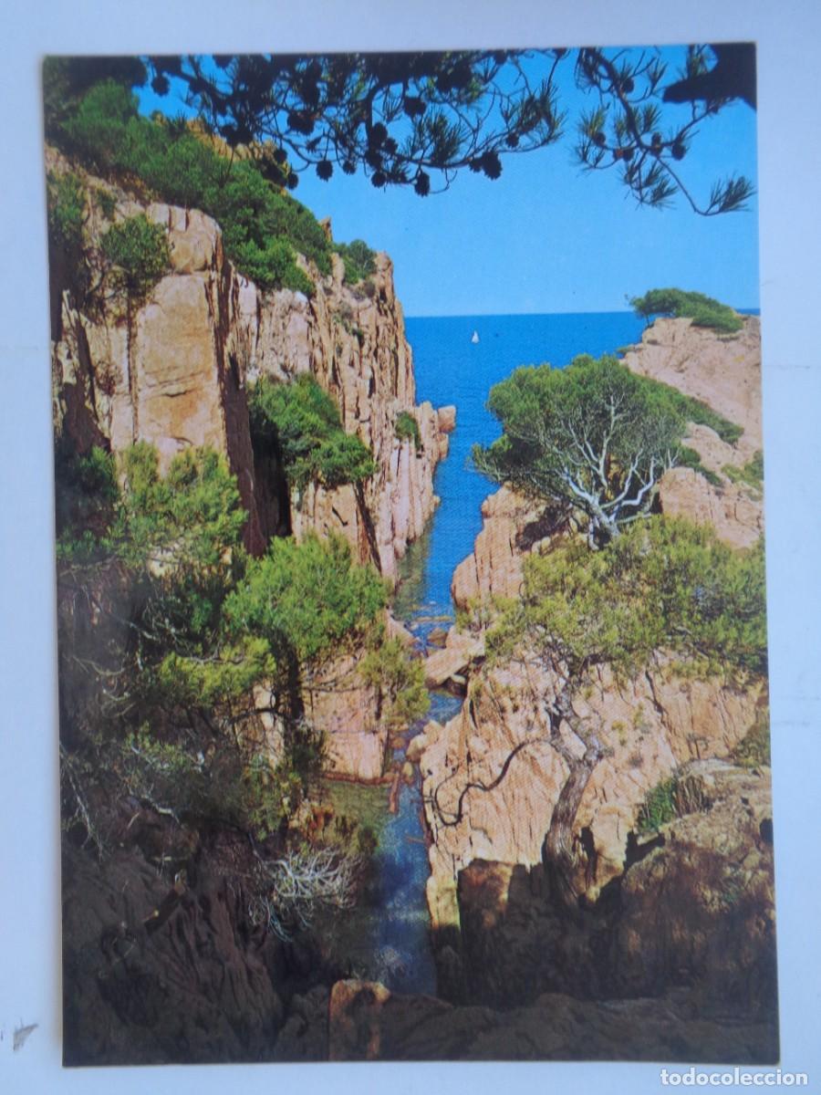 Postales: POSTAL DE LA COSTA BRAVA : ROCAS Y PINOS