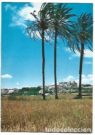 Postales: VISTA GENERAL - GENERAL VIEW.- ALTAFULLA / TARRAGONA