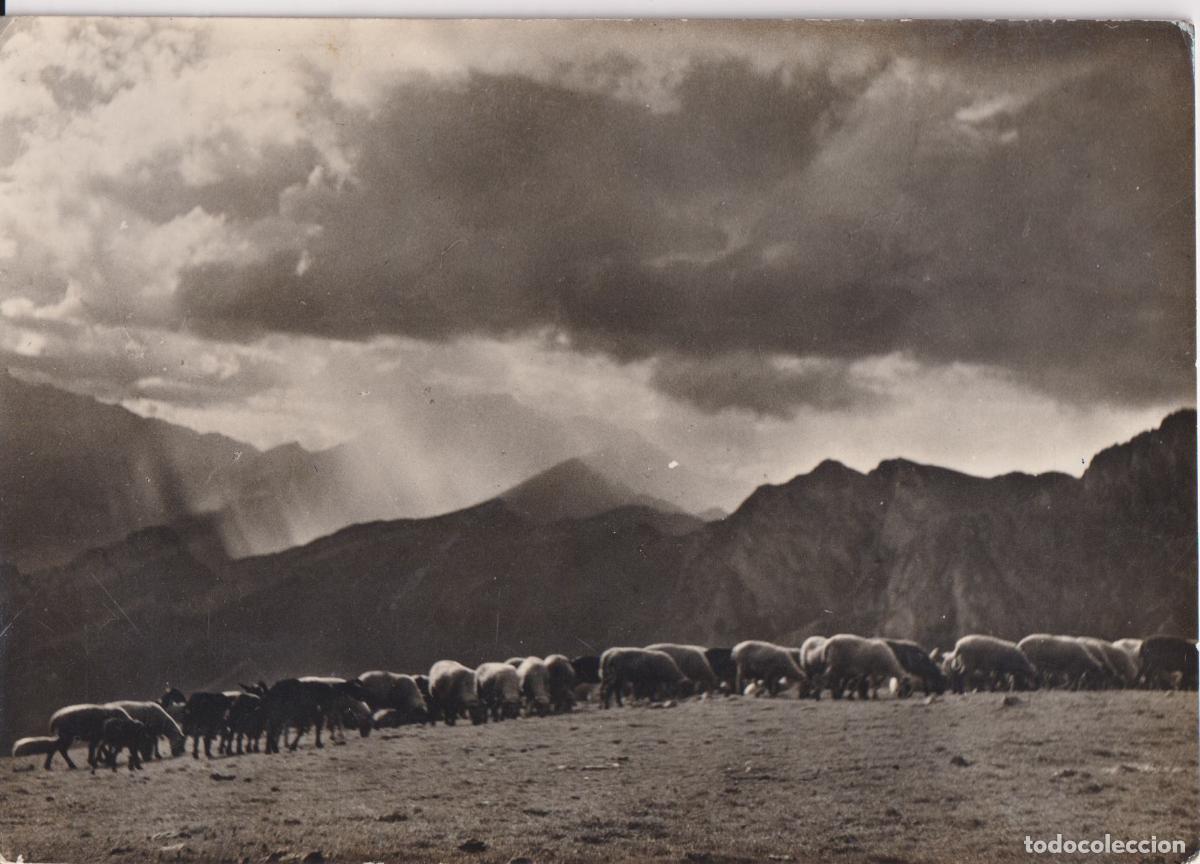 Postales: BAG&Agrave; (ALT BERGADA) PLA BAG&Agrave;, 1950m. - FOTO PUIG RIBERA &ndash; CIRCULADA 1962