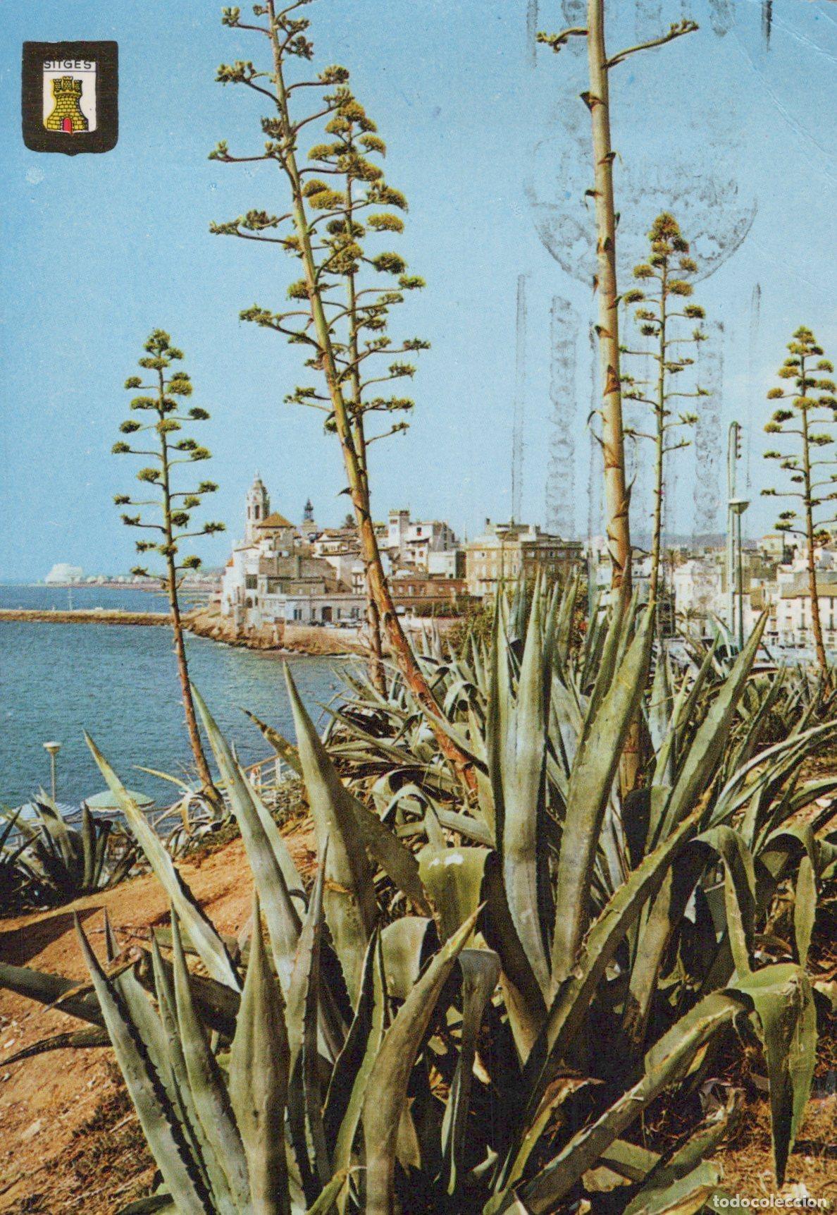 Postales: Espa&ntilde;a Sitges Catalu&ntilde;a Vista Costera Con Agaves Y El Mar Obliterada *YAA922