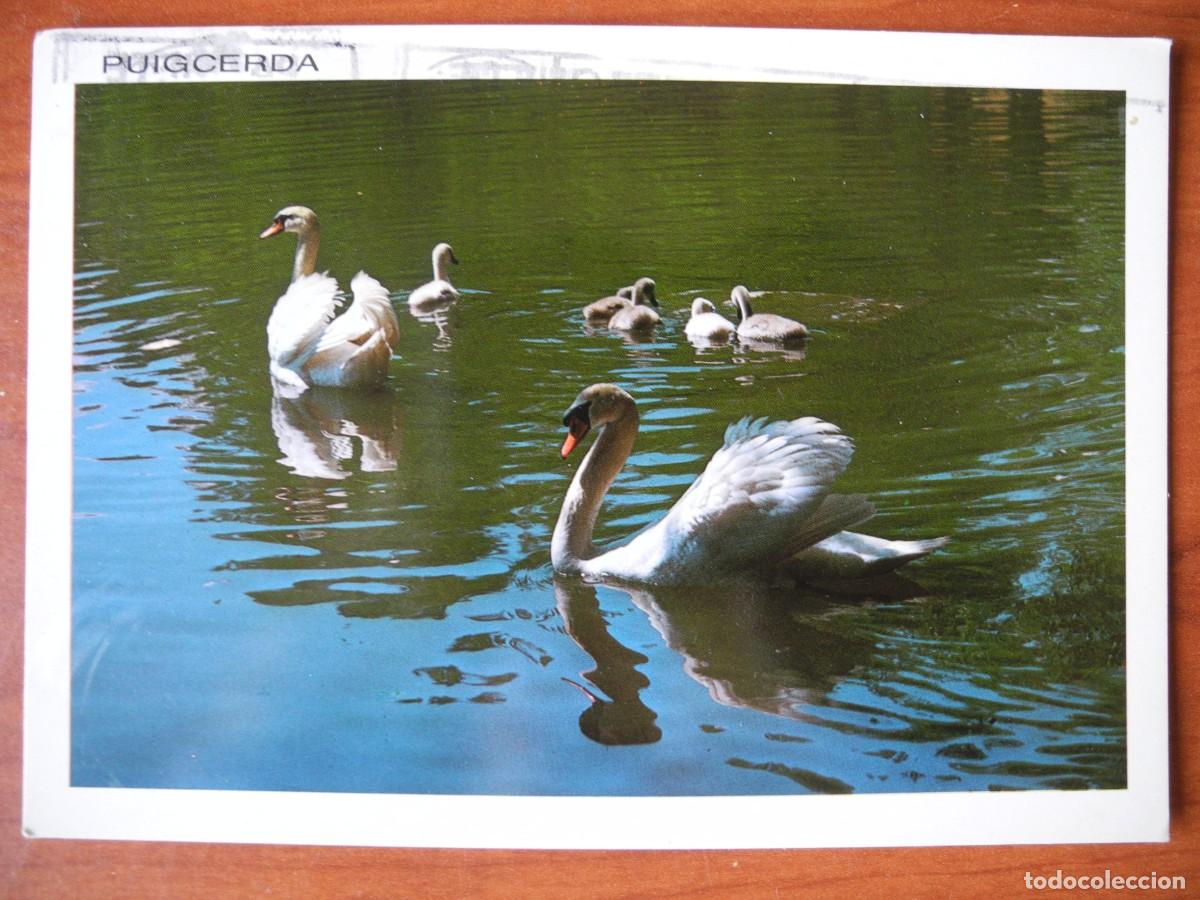 Postales: La Cerdanya. Puigcerd&agrave;. El lago. Ed. Sicilia 21. Escrita con sello 2002.