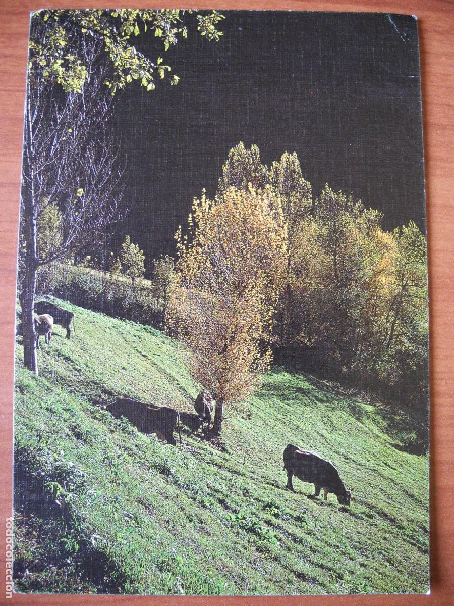 Postales: Pirineo Catalan. Vall dels Boldissos. Card&oacute;s. Ed. Sicilia n. 301. Nueva.
