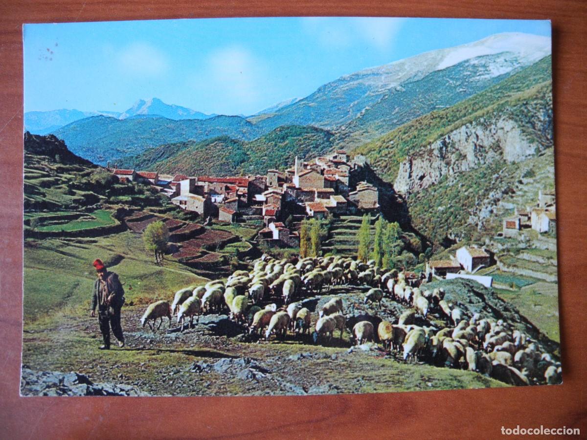 Postales: Castellar de N'Hug. Vista general. Eugenio Orriols. n. 4. Reba&ntilde;o de ovejas. Nueva