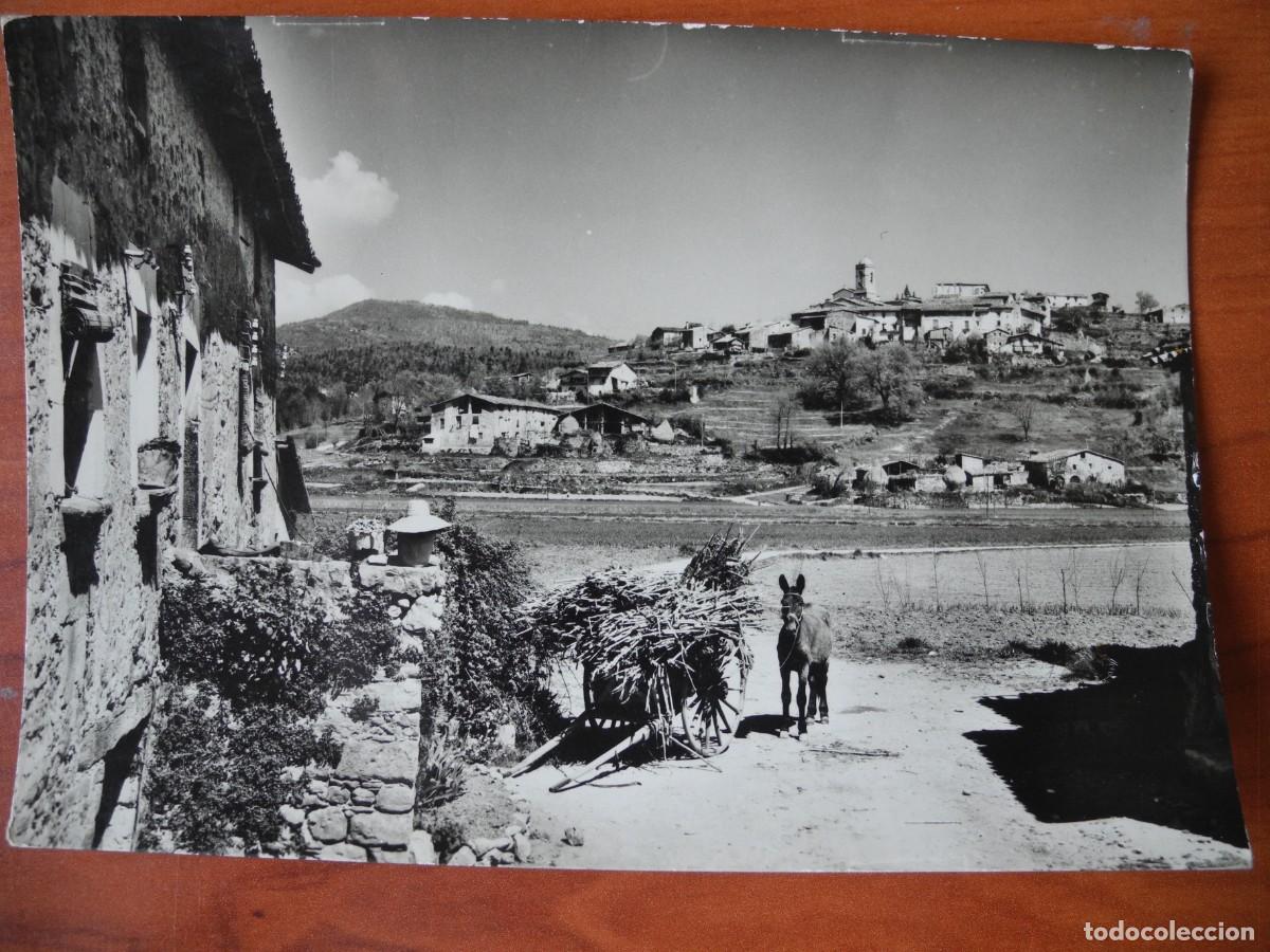 Postales: Olot. Mallol n. 51. Ed. Arques. Nueva