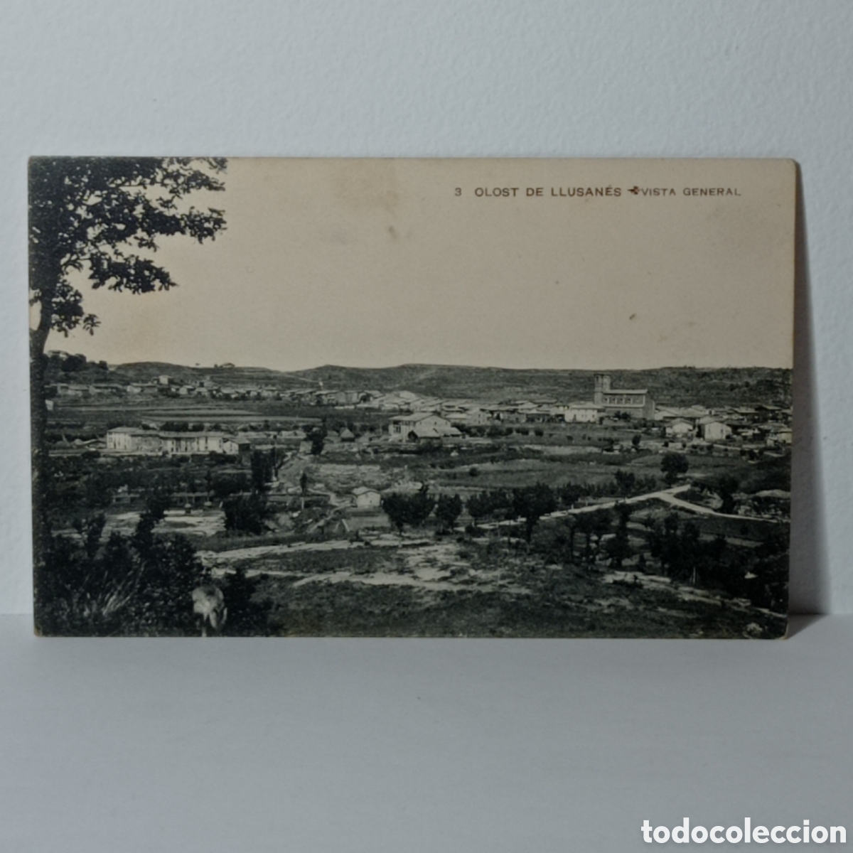 Postales: OLOST DE LLUSAN&Eacute;S, VISTA GENERAL