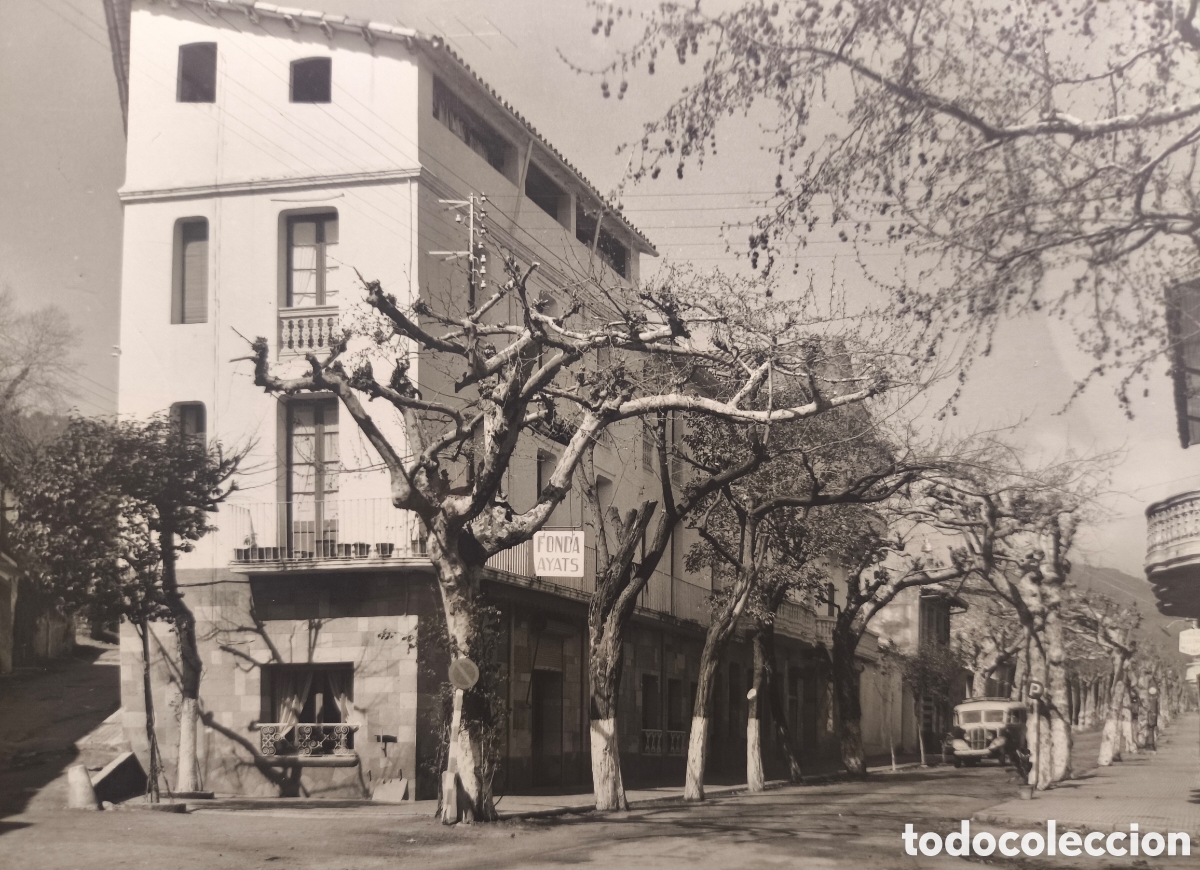 Postales: ARB&Uacute;CIES CARRER CAMPRODON FONDA AYATS POSTAL FOTOGR&Aacute;FICA LA SELVA GIRONA C. 1955