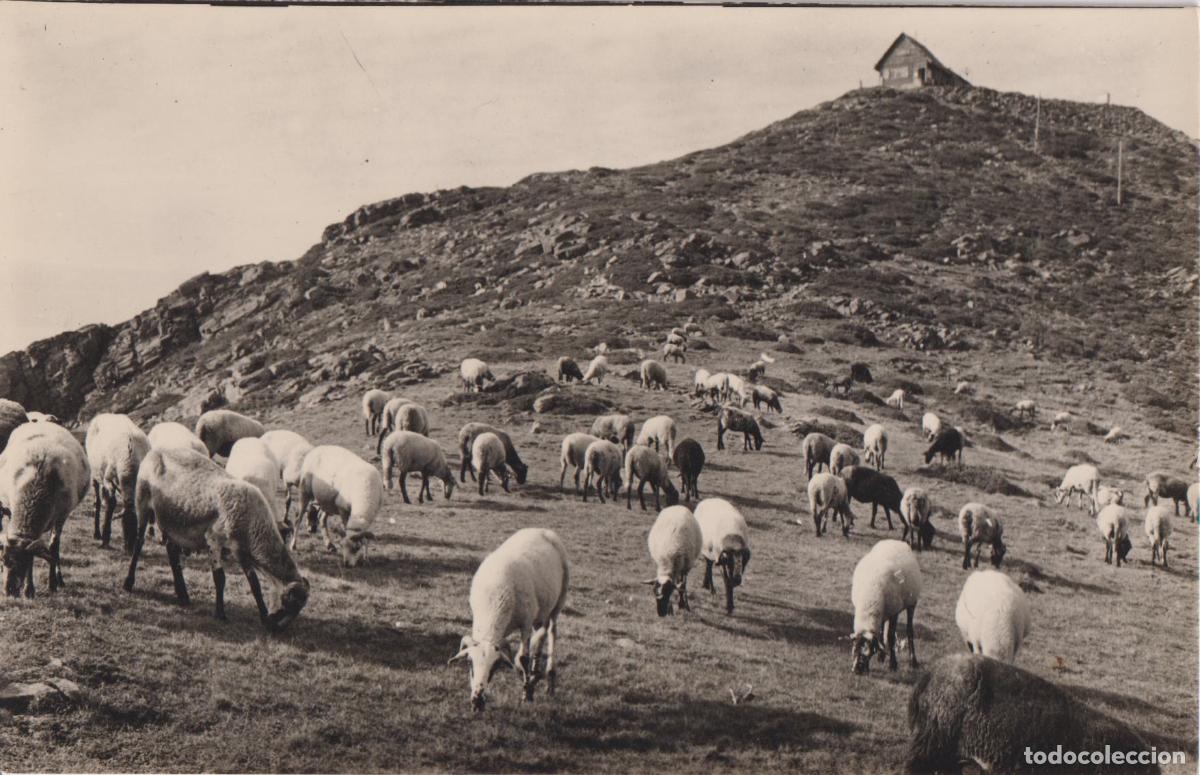 Postales: MONTSENY, TUR&Oacute; DE L'HOME &ndash; EDICIONES FOTOGR&Aacute;FICAS BOSCH &ndash; CIRCULADA