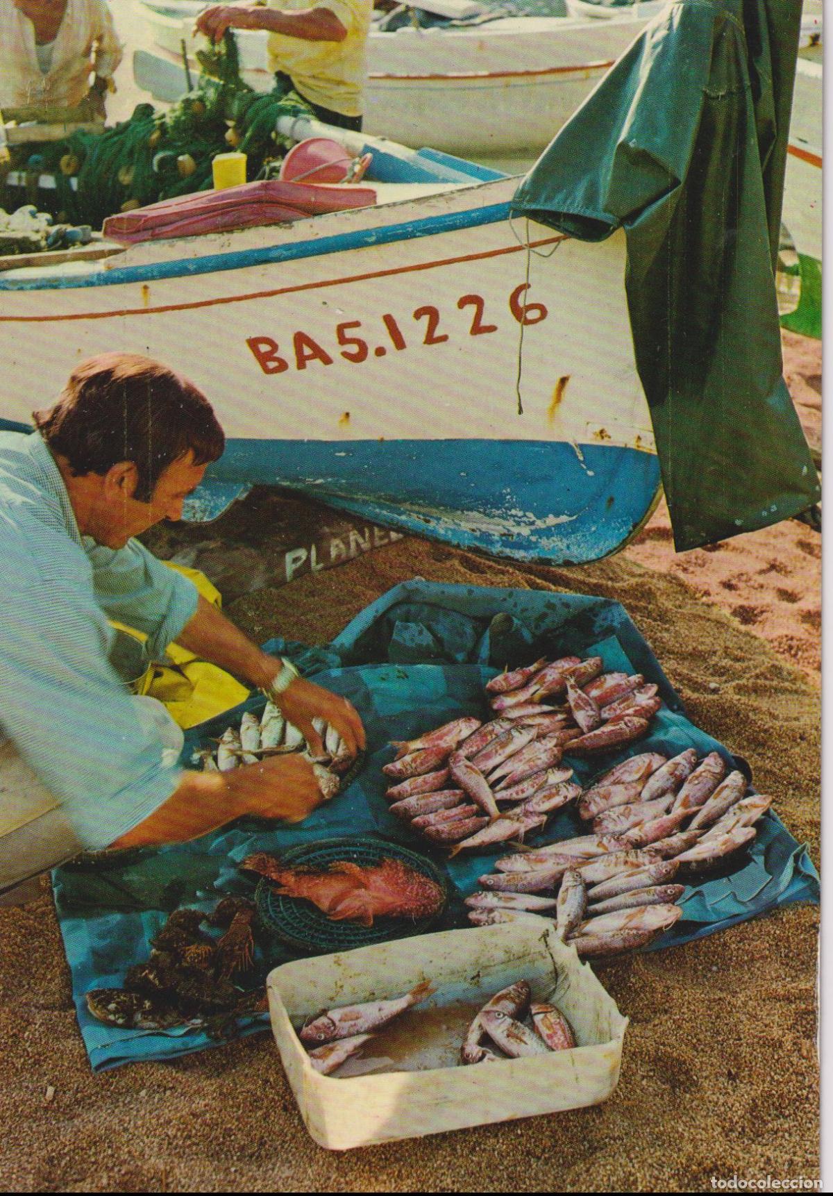 Postales: ROSES (GIRONA) PESCADOR &ndash; FOTO CATALAN IBARZ 1161 &ndash; S/C