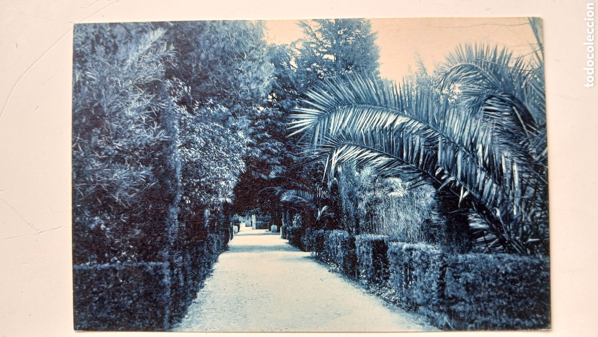 Postales: POSTAL BARCELONA B/N PARQUE MONTJUICH AVENIDA PLAZA DEL SOL ROISIN N&ordm; 23 SIN CIRCULAR
