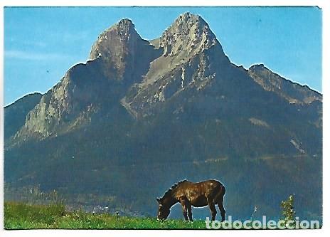 Postales: PEDRAFORCA.- SALDES..