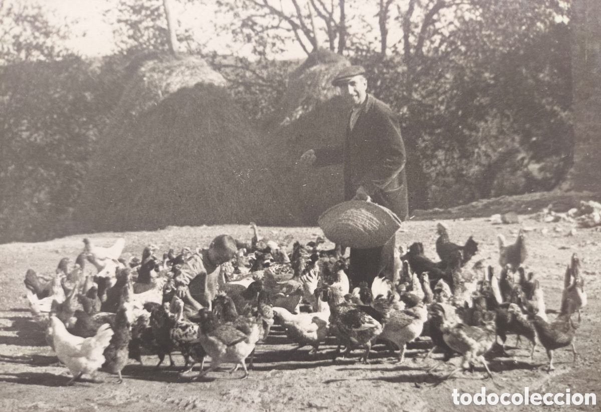 Postales: PRUIT MAS PAG&Egrave;S AVIRAM POSTAL FOTOGR&Aacute;FICA ANIMADA OSONA C. 1930