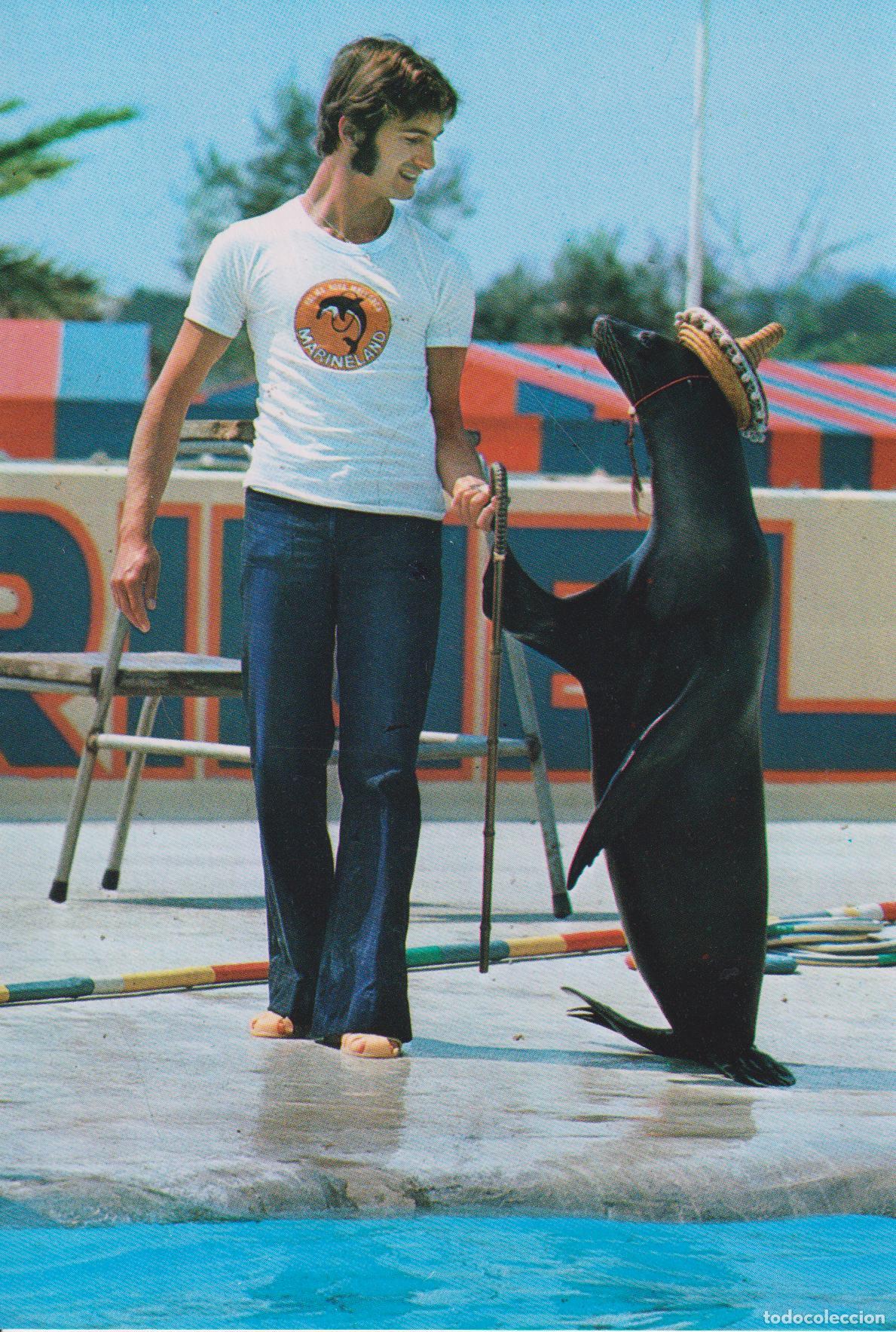 Postales: PALLAFOLS (BARCELONA) PARQUE ACUATICO MARINELAND - S/C