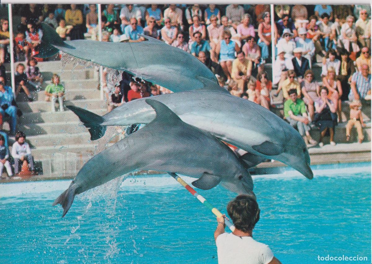 Postales: PALLAFOLS (BARCELONA) PARQUE ACUATICO MARINELAND - S/C