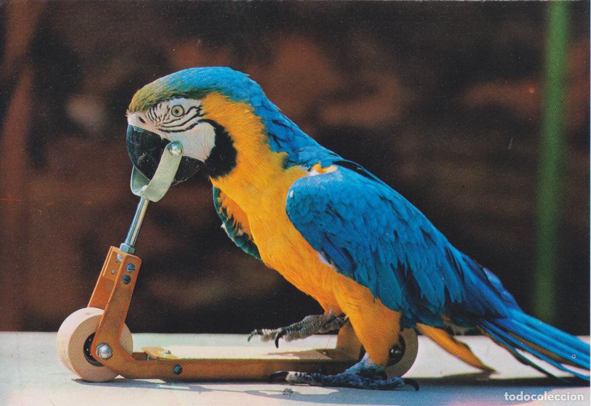 Postales: PALLAFOLS (BARCELONA) PARQUE ACUATICO MARINELAND - S/C