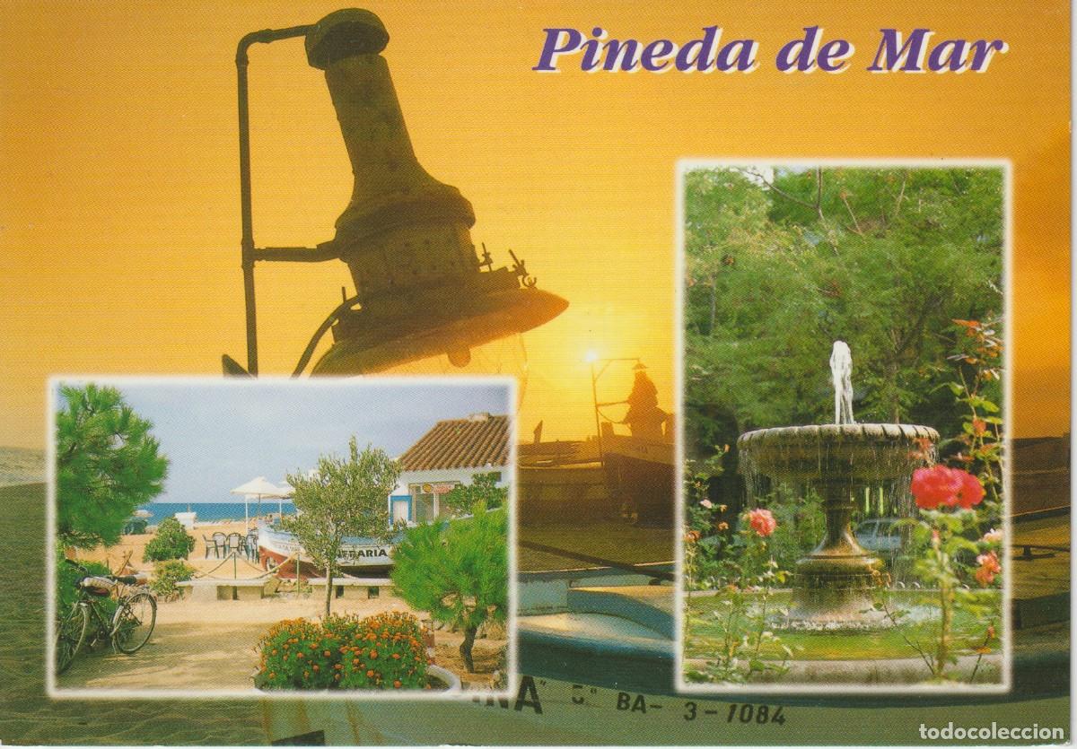 Postales: (1338) PINEDA DE MAR. BARCELONA
