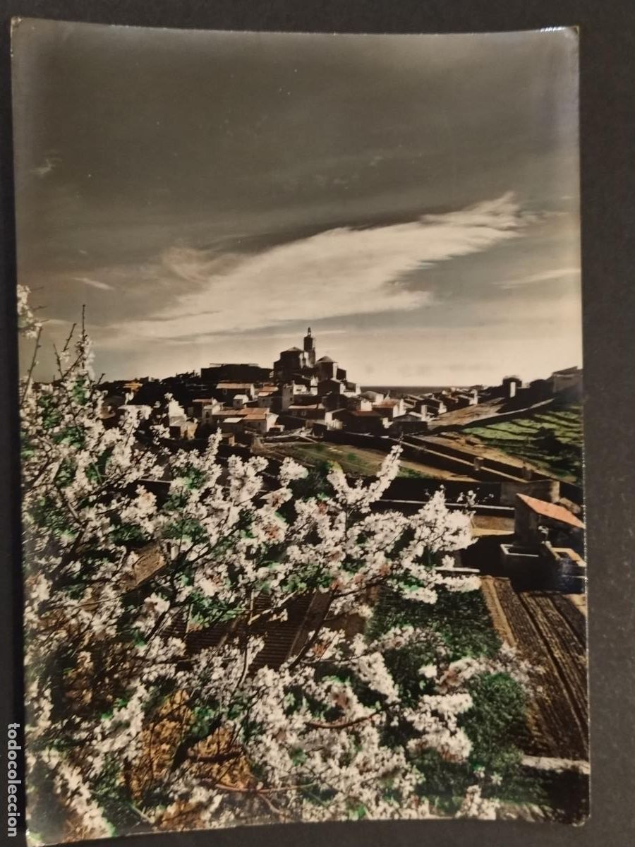 Postales: CADAQUES - VISTA PARCIAL Y ALMENDROS EN FLOR - FOT M.C.- POSTAL ANTIGUA -(116.642)