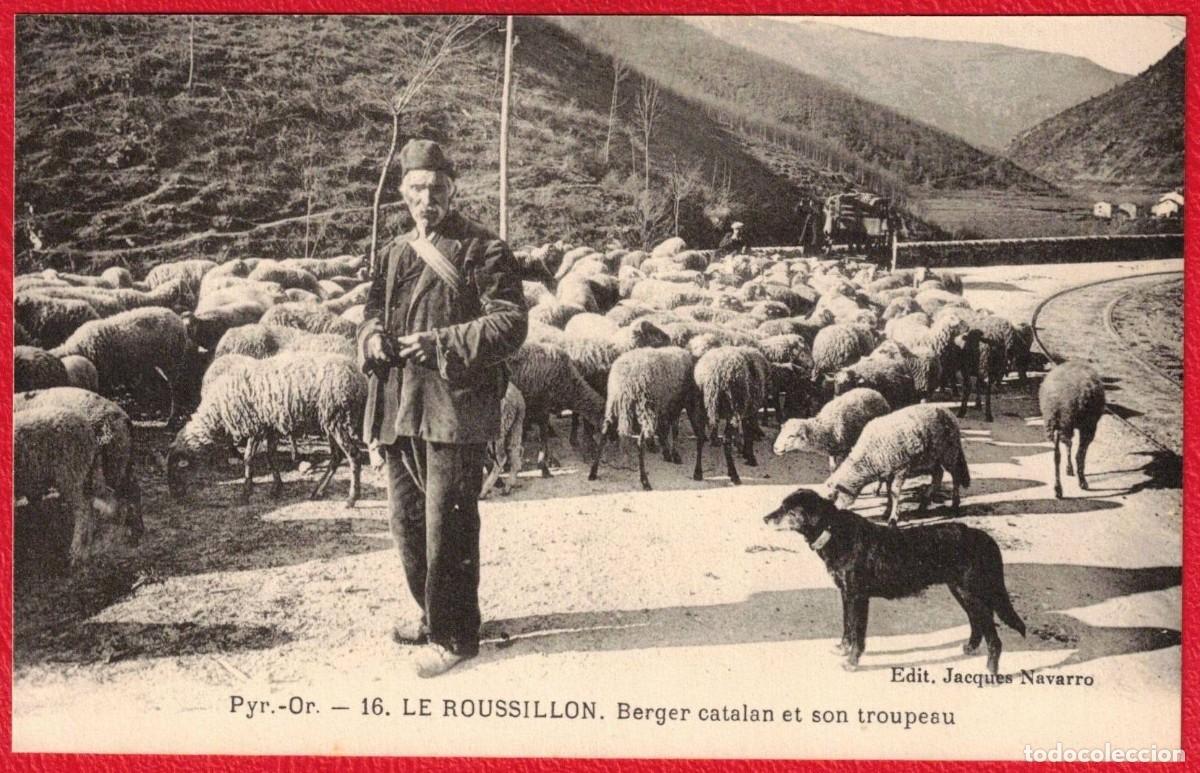 Postales: Catalunya - Le Roussillon - Berger catalan et son tropeau - Jacques Navarro