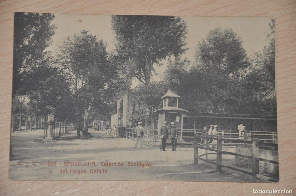 Postales: postal barcelona, coleccion zoologica del parque, detalle, atv 208