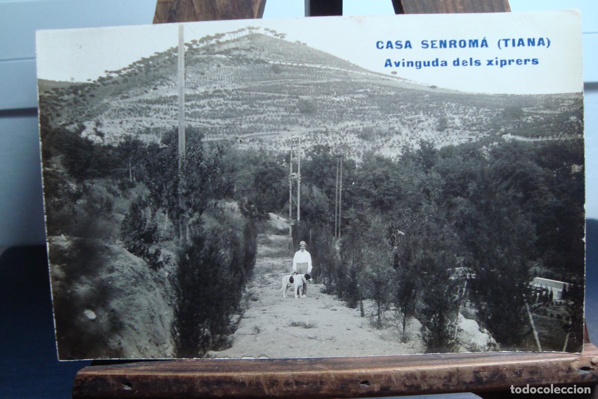 Postales: ANTIGUA POSTAL FOTOGRAFICA CASA SENROM&Aacute;. AVINGUDA DELS XIPRERS. TIANA BARCELONA