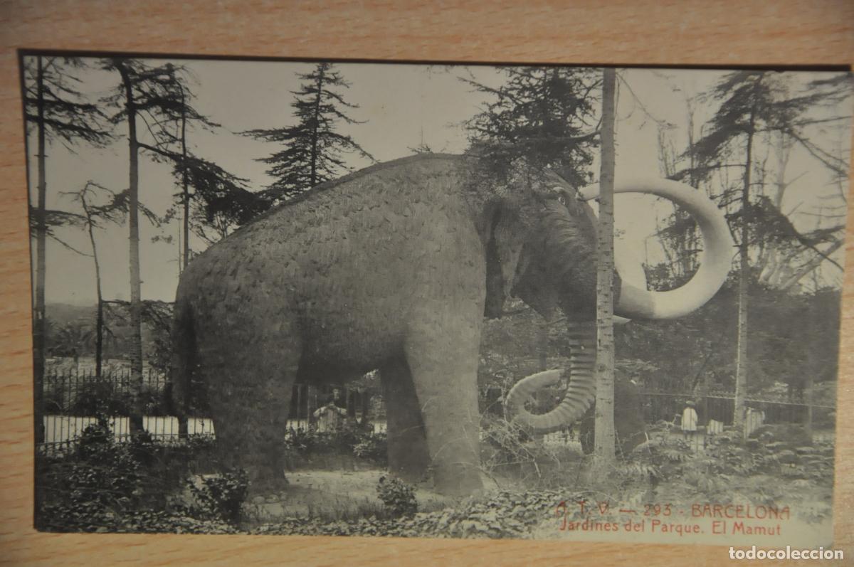 Postales: postal barcelona, jardines del parque, el mamut, atv 293