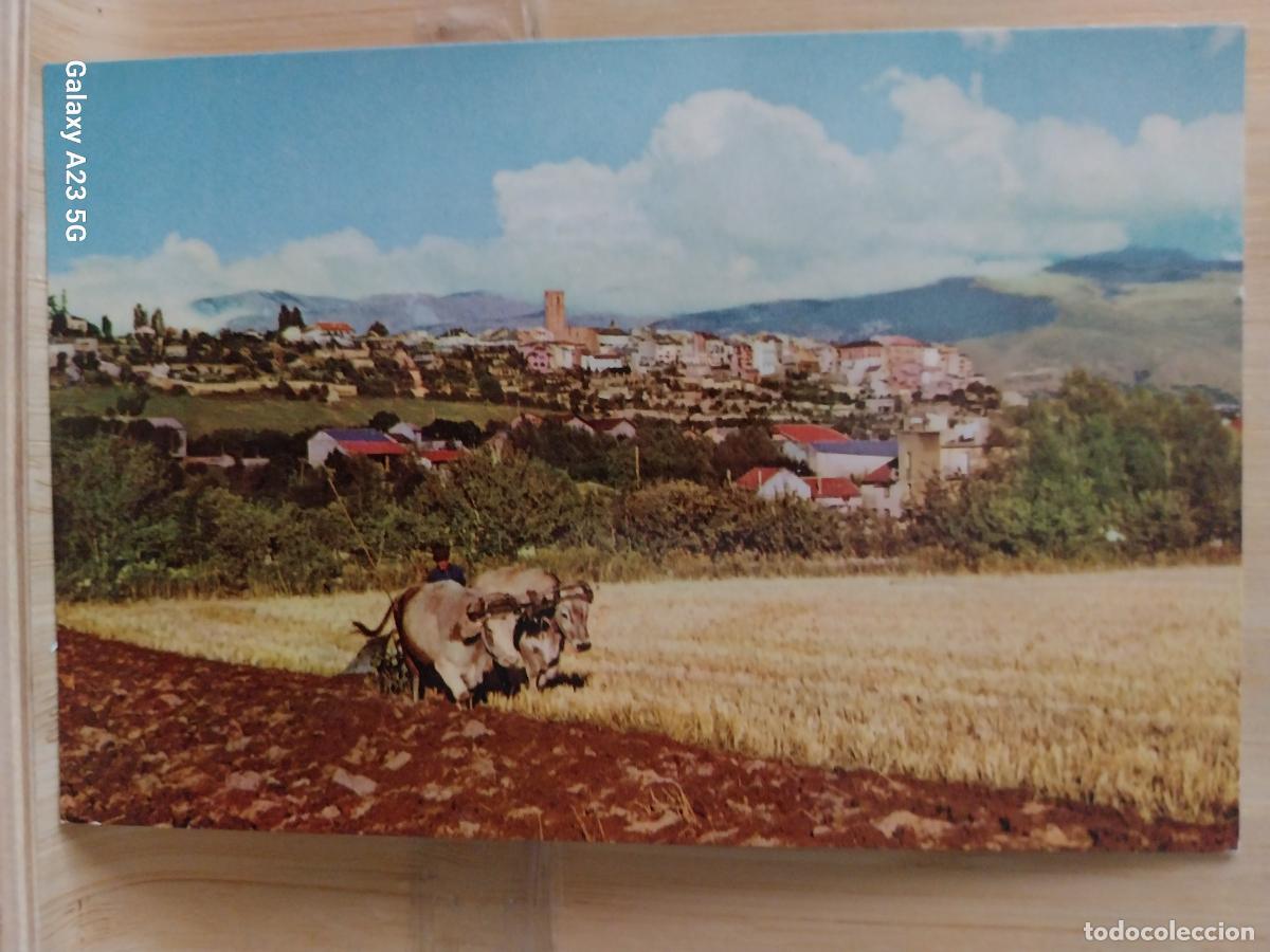 Postales: PUIGCERDA CERDA&Ntilde;A ED CAMPA&Ntilde;A SERIE II 1188