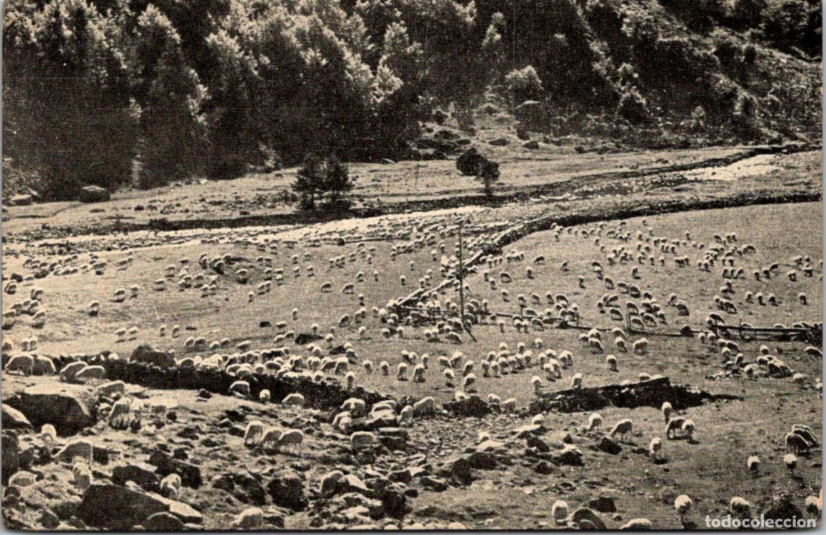 Postales: Empresa Nacional El&eacute;ctrica del Ribagorzana (ENHER) - Valle del Noguera Ribagorzana-Postal - 139x90mm