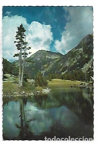 Postales: PARQUE NACIONAL &rdquo; AIGUES TORTES &rdquo;.- VALLE DE BOHI / LLEIDA