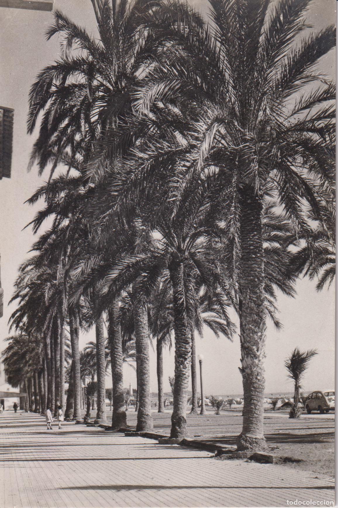 Postales: VILANOVA I LA GELTRU (BARCELONA) PASEO DE NTRA.SRA.DEL CARMEN - FOTO MAS - S/C