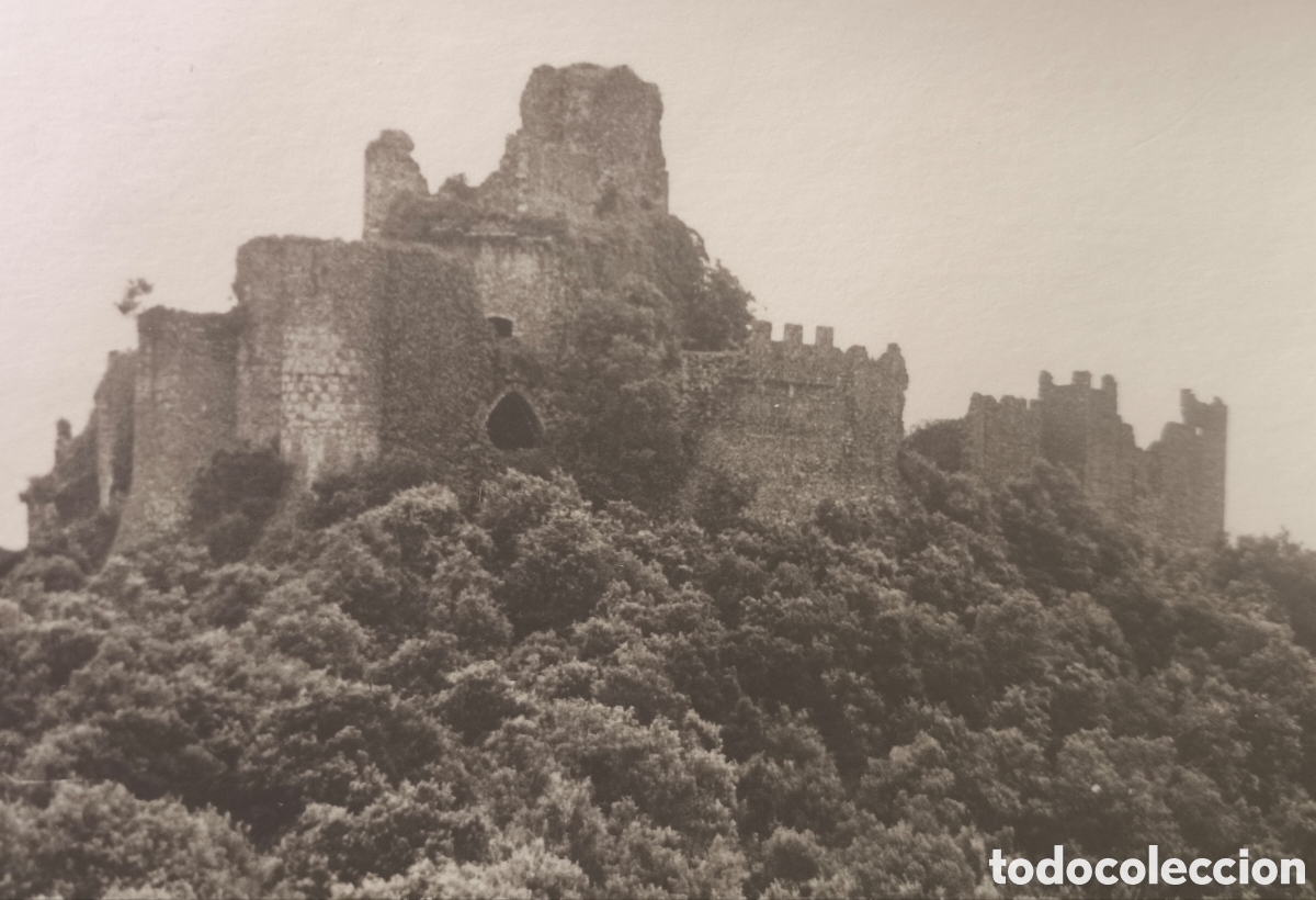Postales: ARB&Uacute;CIES CASTELL MONTSORIU FOTOGRAF&Iacute;A POSTAL LA SELVA GIRONA C. 1960
