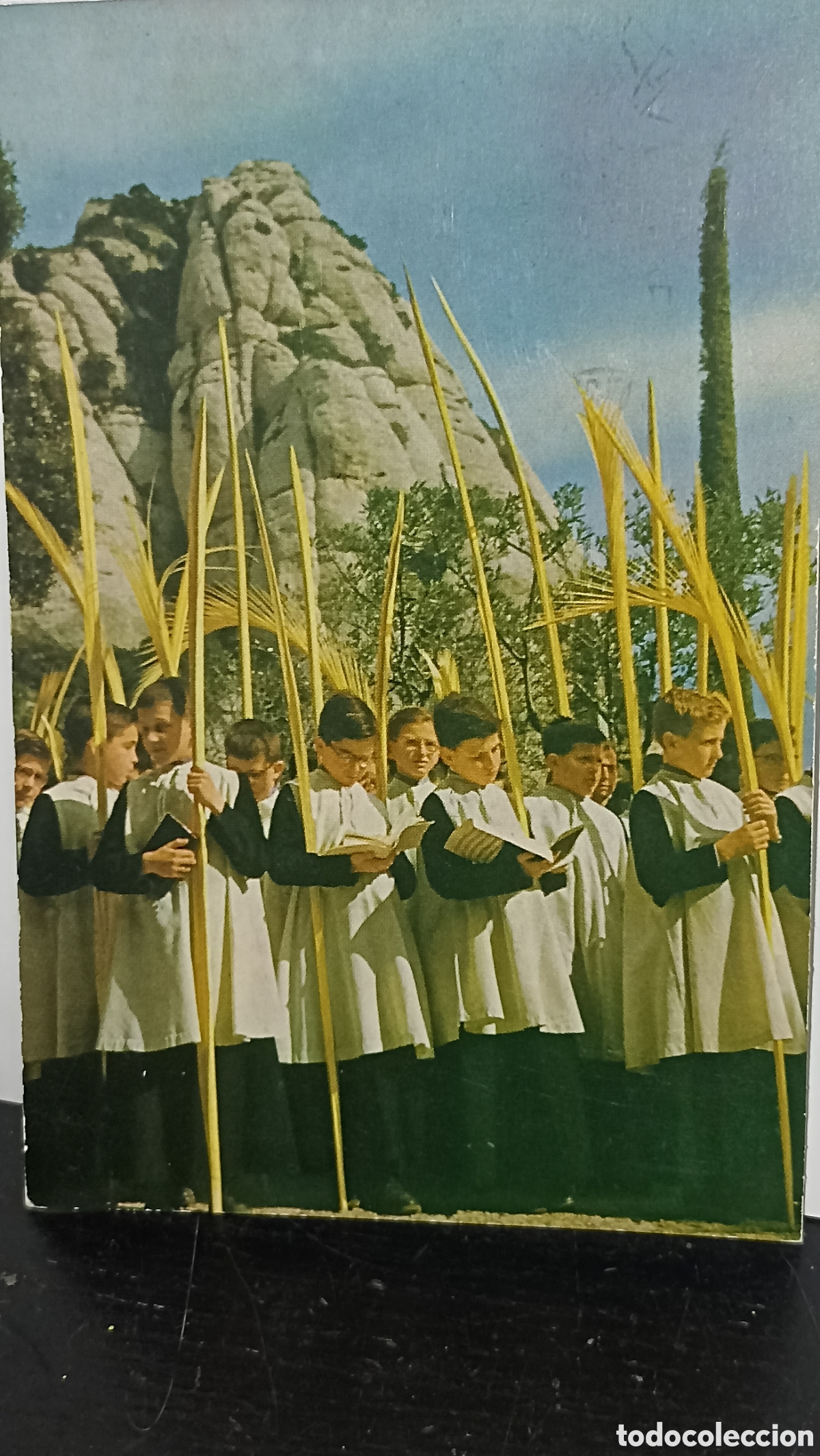 Postales: Montserrat escolares y palmas