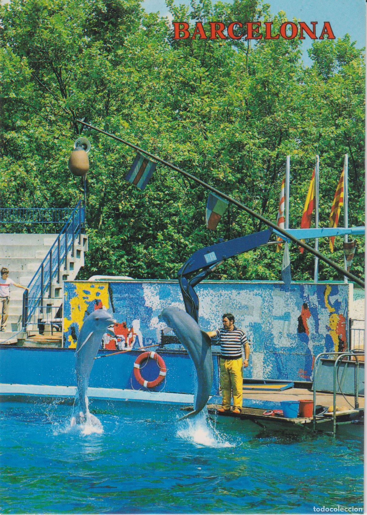 Postales: BARCELONA, ELS DOFINS DEL PARC DE LA CIUTADEL&middot;LA - COLECCION PERLA N&ordm;5348 - S/C