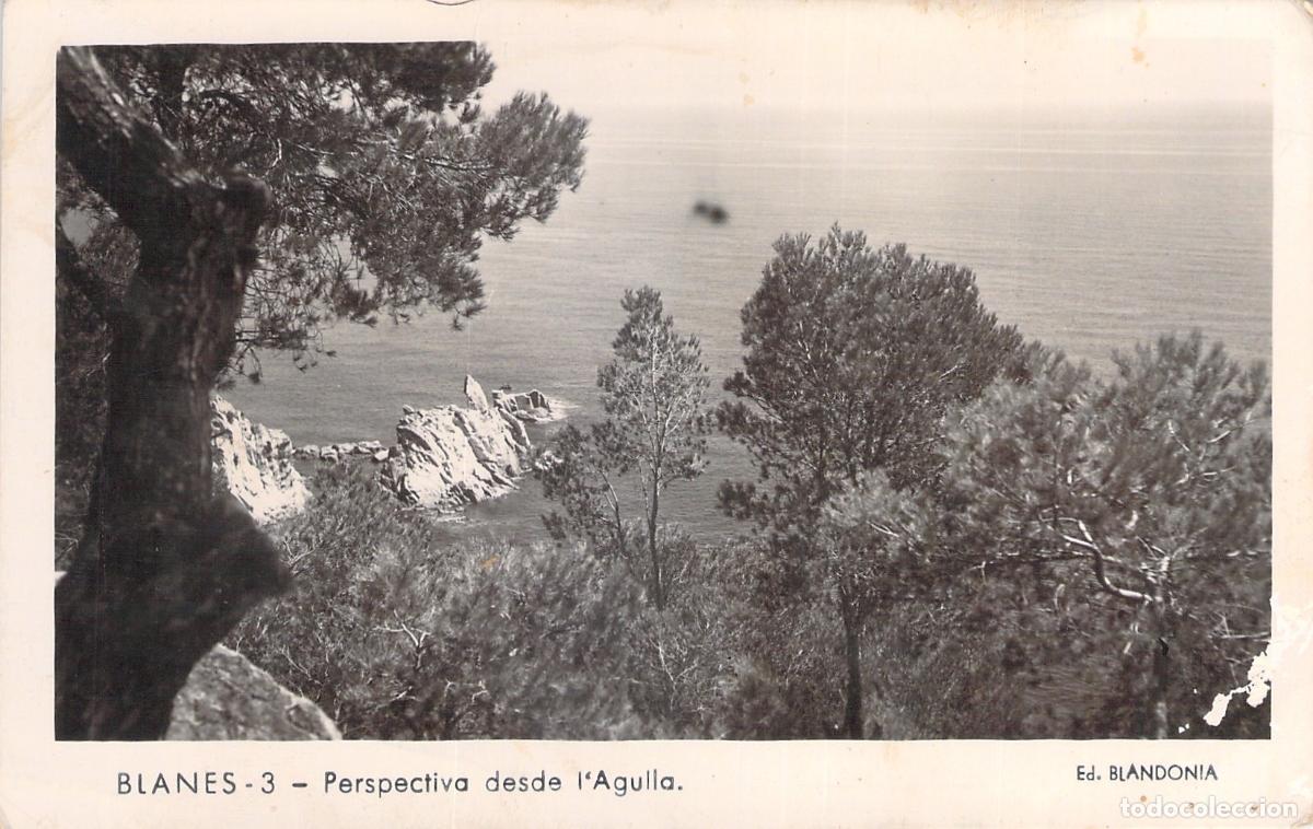 Postales: Postal de Blanes, perspectiva desde L'Agulla