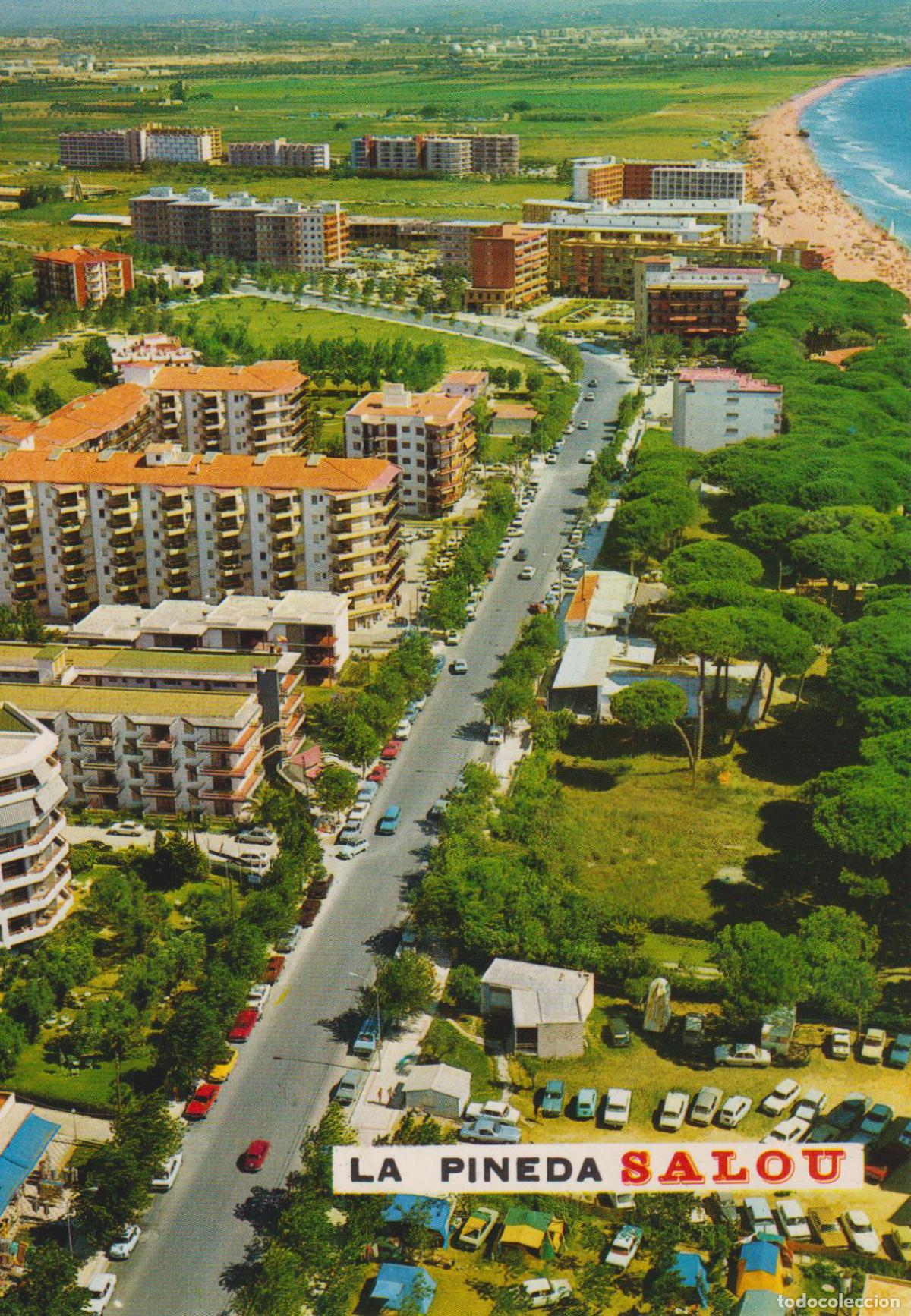 Postales: SALOU, LA PINEDA (TARRAGONA) PLAYA - FOTO COLOR RAYMOND N&ordm;131 - CIRCULADA