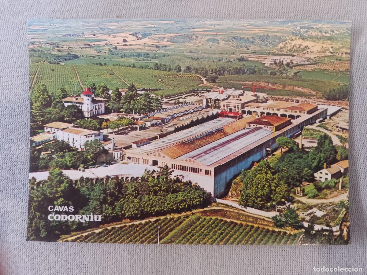 Postales: POSTAL EXTERIORES DE CODORNIU
