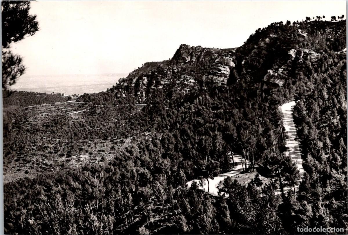 Postales: Begas - Giravol de la Paella - Zerkowitz 4 - 149x101mm