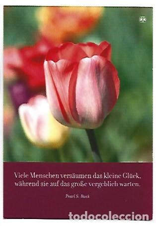 Postales: &rdquo; TULIPANES &rdquo;.- &rdquo; SOS - KINDERDORF &rdquo;.- FELICITACION, ORIGINAL, (OFERTA 3X2). COMPRA 3 Y PAGA2