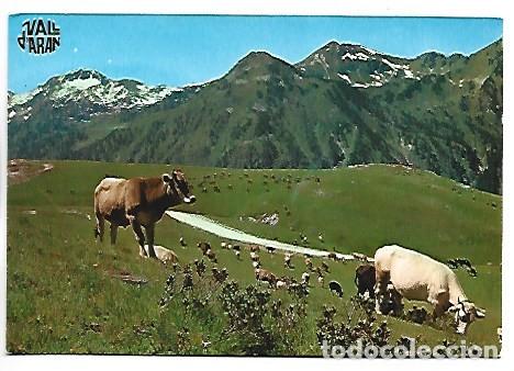 Postales: PLA DE BERET.- VALL D&acute;ARAN / LLEIDA