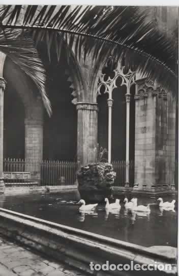 Postales: BARCELONA ESCRITA CLAUSTRO