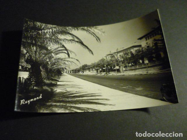 Postcards: SALOU TARRAGONA PASEO DE PALMERAS JUNTO A LA PLAYA